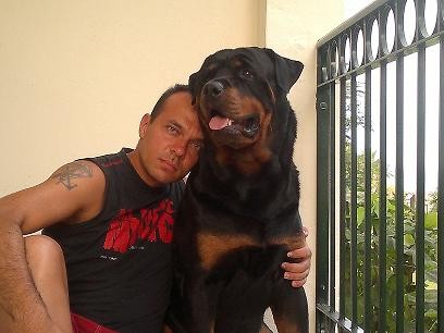mi gordo y yo , un dia de vacas.